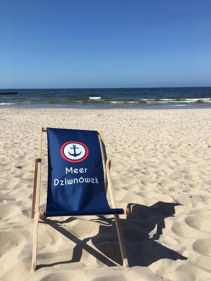 Domki Meer 드지우노웨크 외부 사진